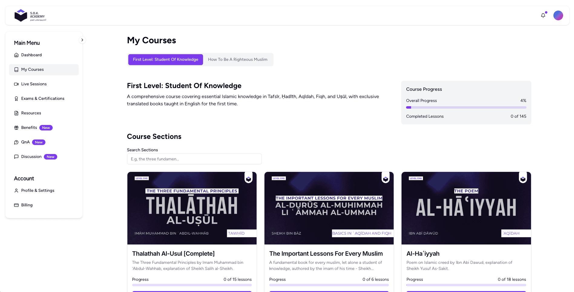 SOK Academy teaching approach